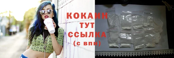 spice Алексин
