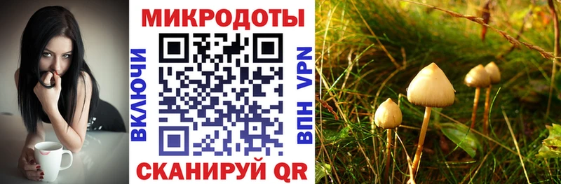 Галлюциногенные грибы мухоморы  Спасск-Рязанский 